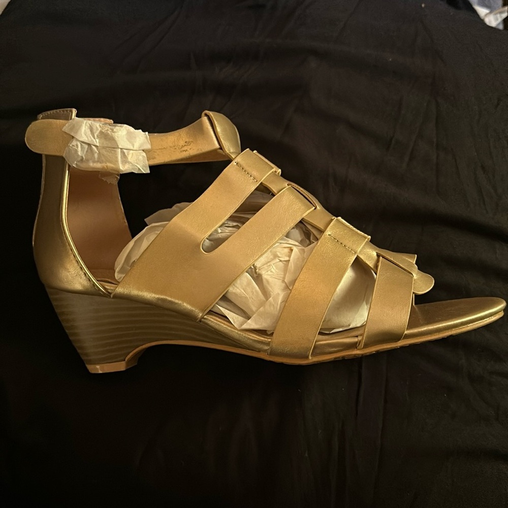 Back Zipper 2/3 inch heel, gold toe outs, faux leather